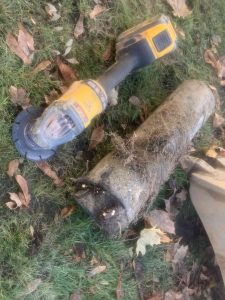 Root intrusion into Orangeburg pipe caused side sewer failure. 